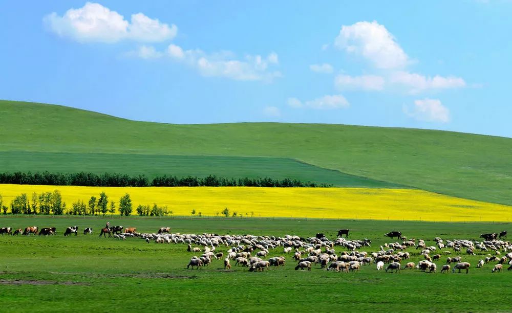 内蒙古，心驰神往的草原天堂之旅