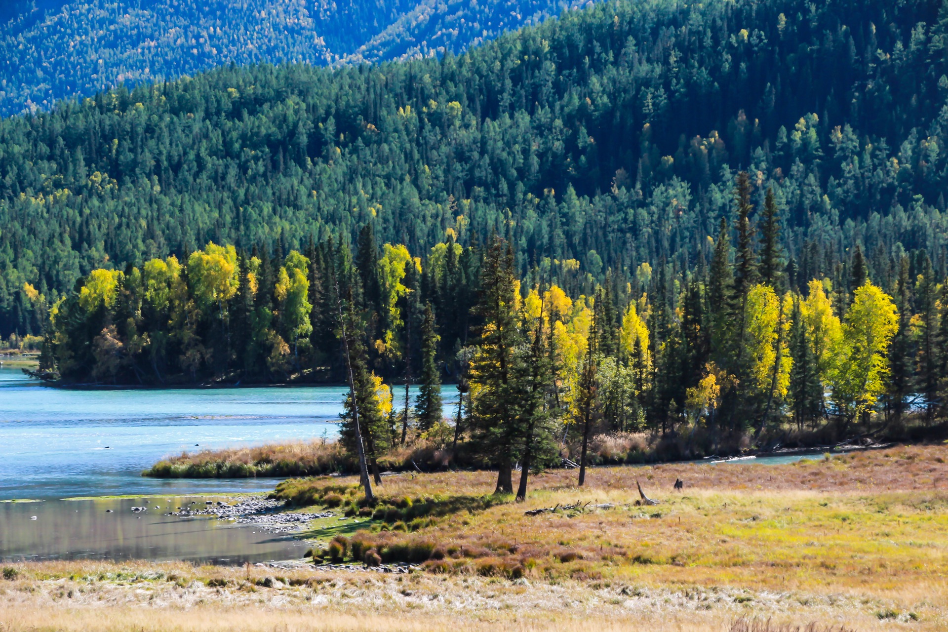 新疆之韵，探索独特文化与风情