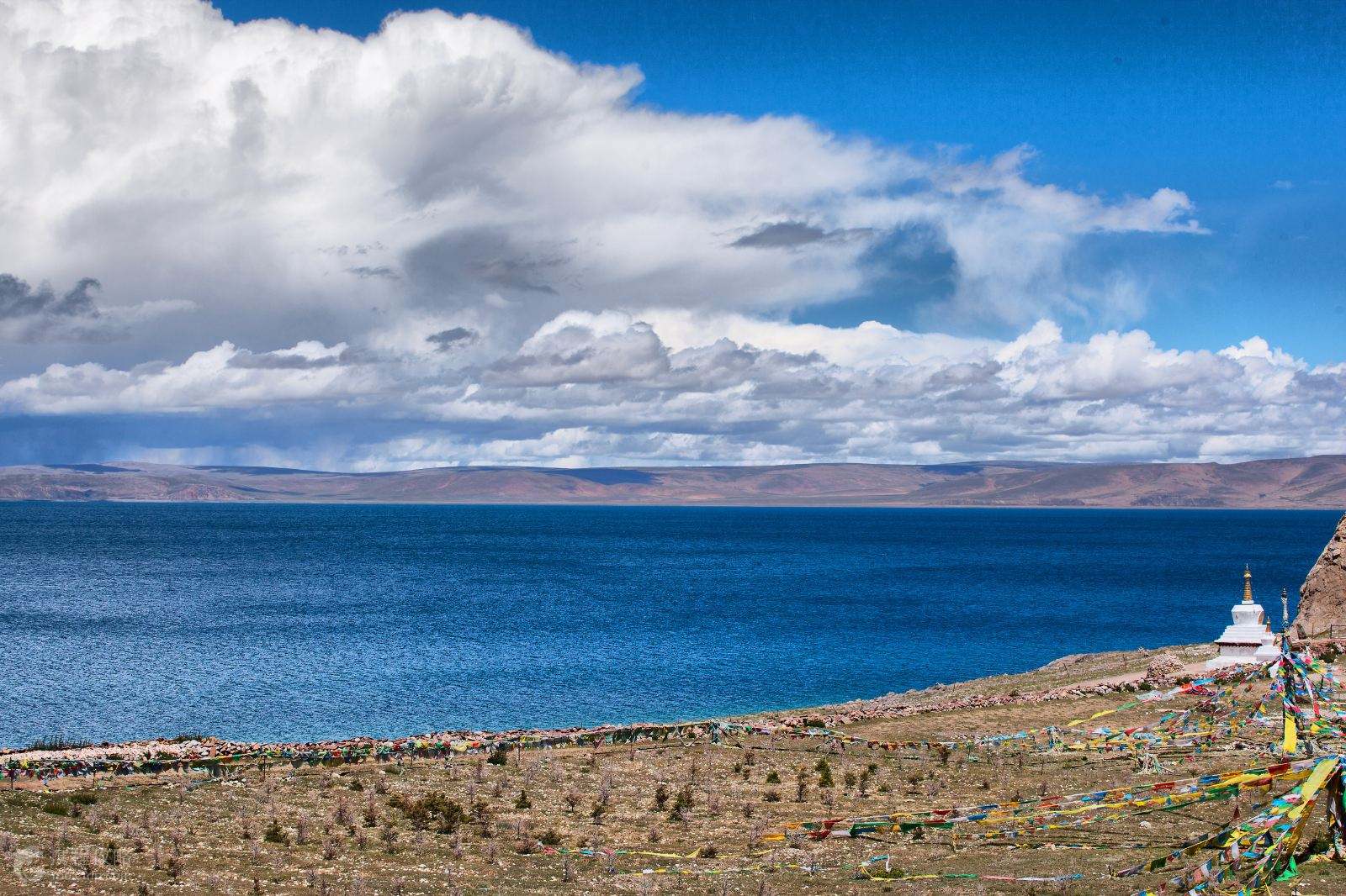 致敬西藏，领导、教师与学子共聚一堂